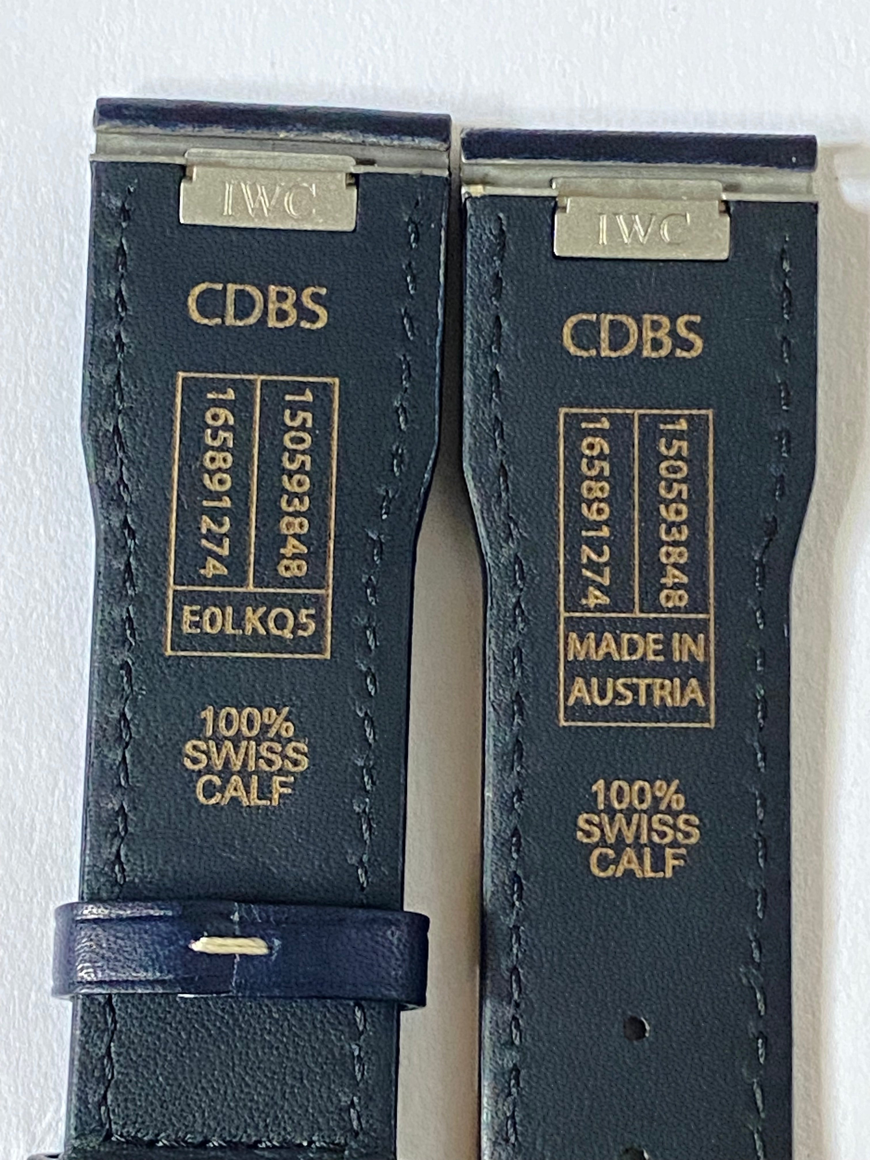 IWC Original 21 mm Black Easy Change Leather Strap
